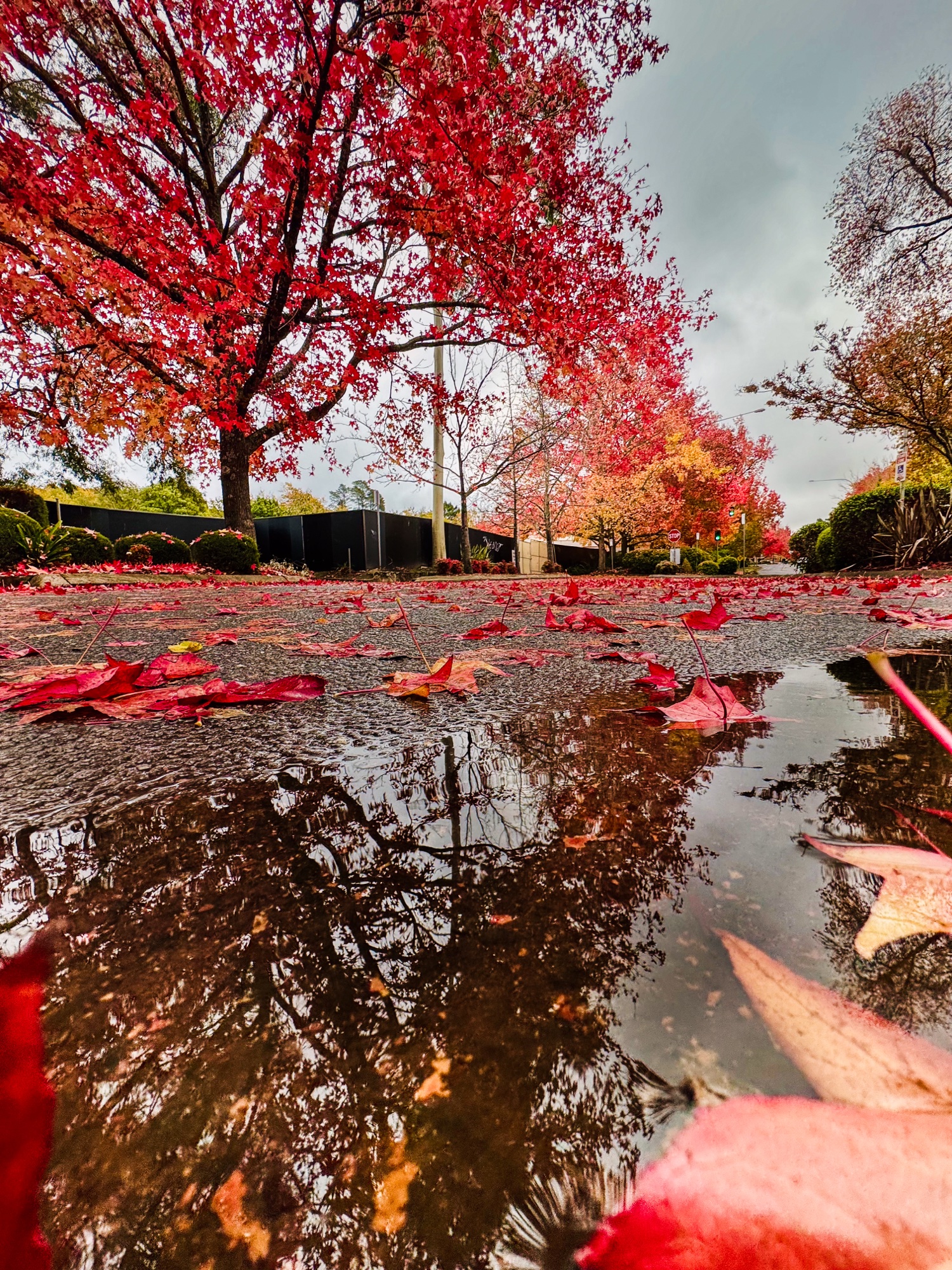 Autumn photograph 7 of 7