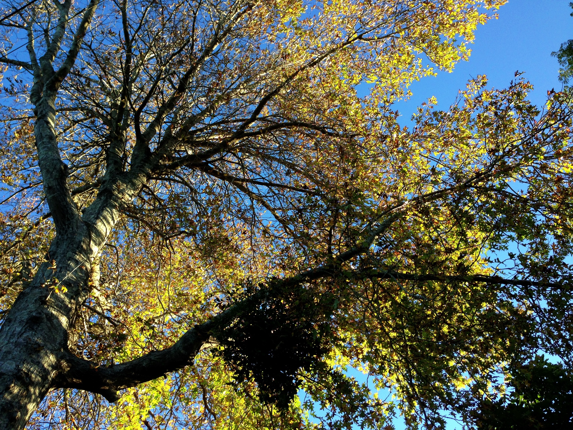 Autumn photograph 5 of 7