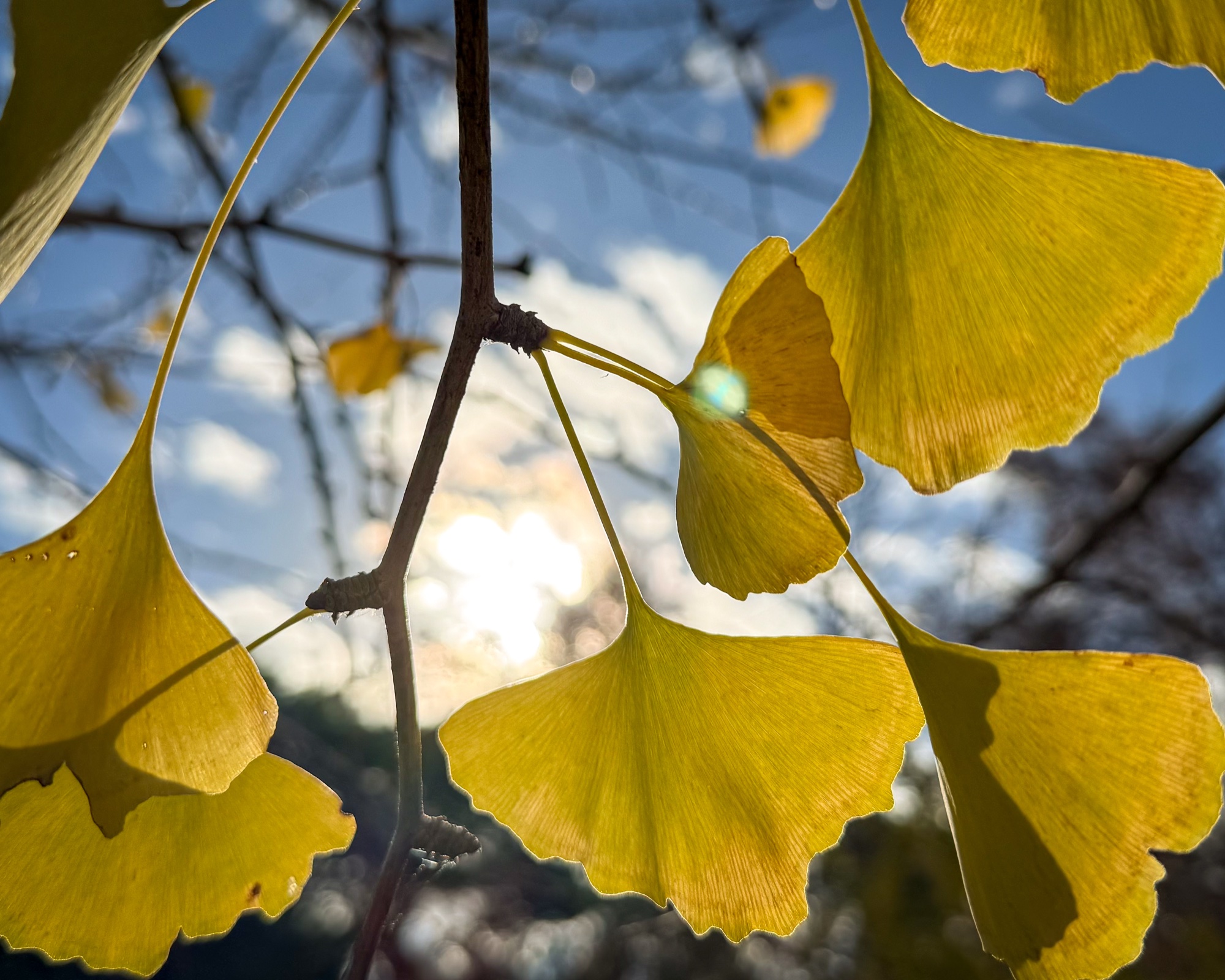 Autumn photograph 6 of 7