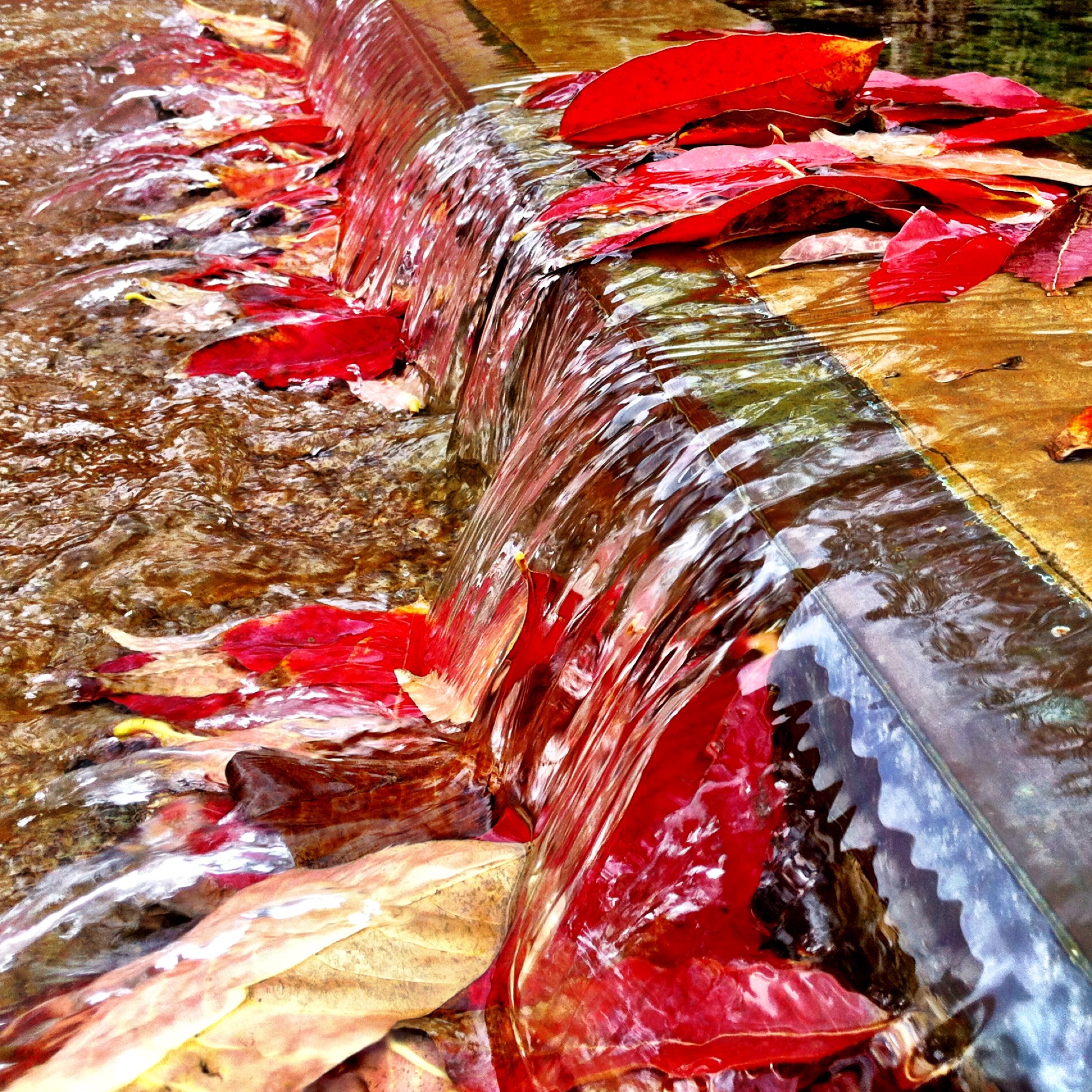 Autumn photograph 3 of 7