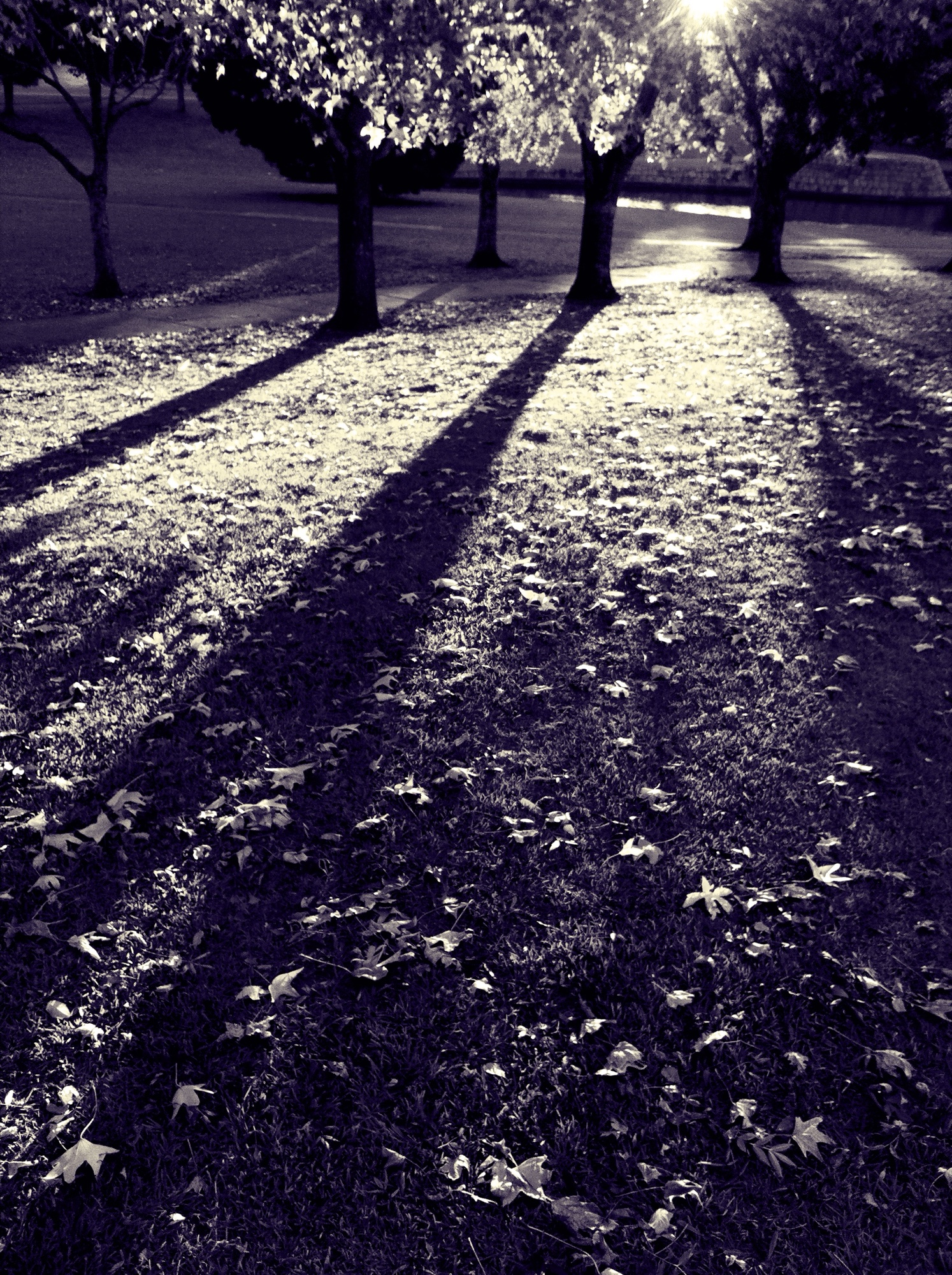 Autumn photograph 4 of 7