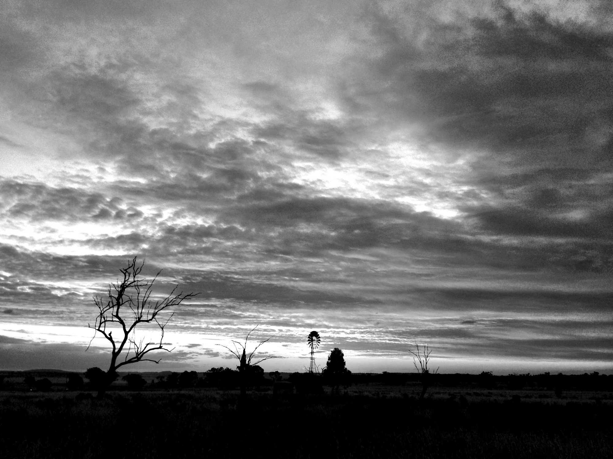 Monochrome photograph 14 of 43