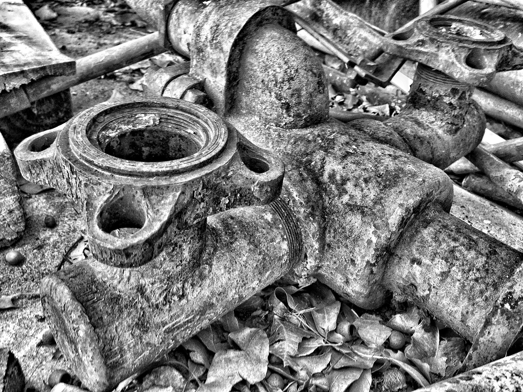 Monochrome photograph 24 of 43