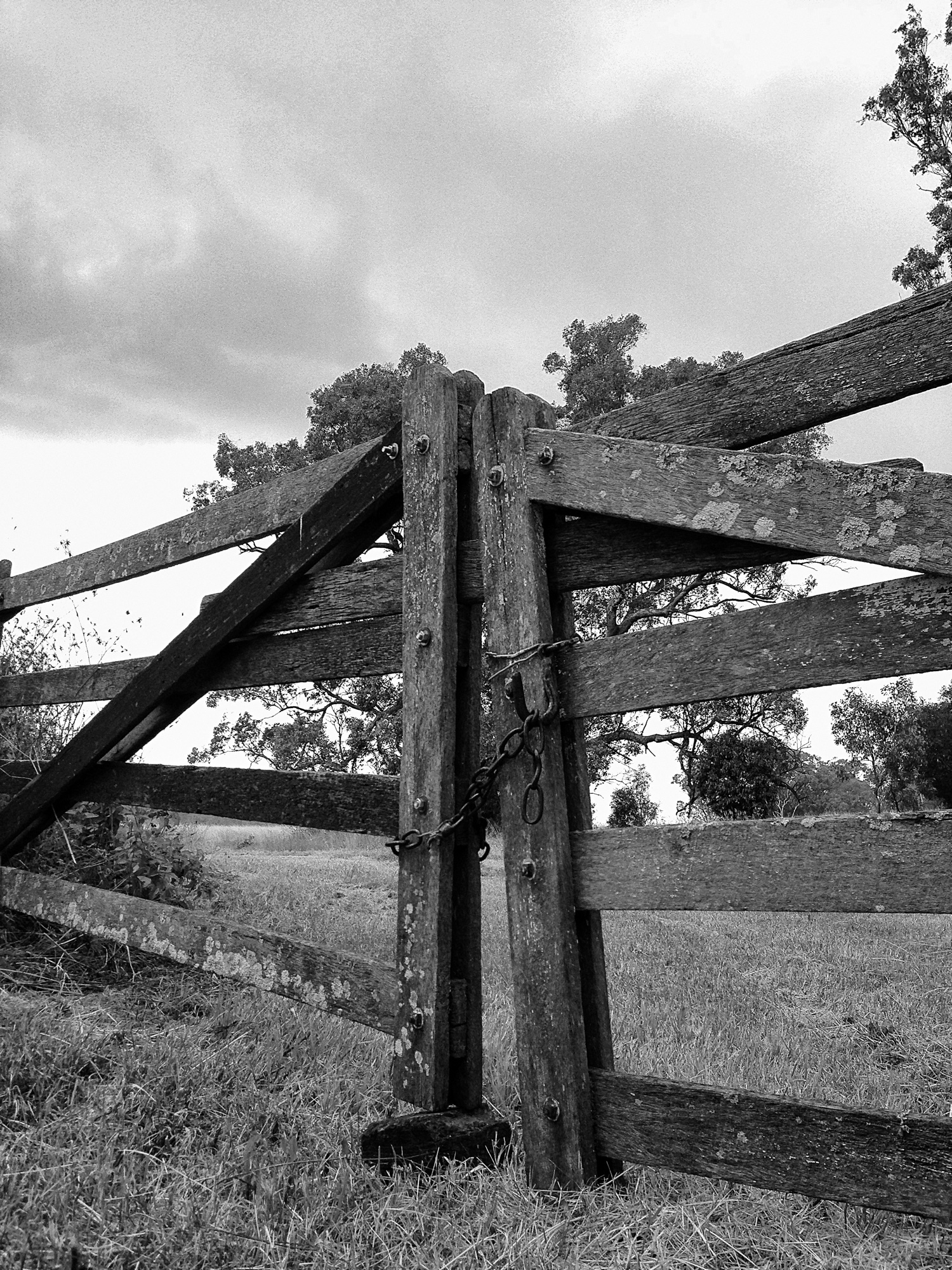 Monochrome photograph 18 of 43
