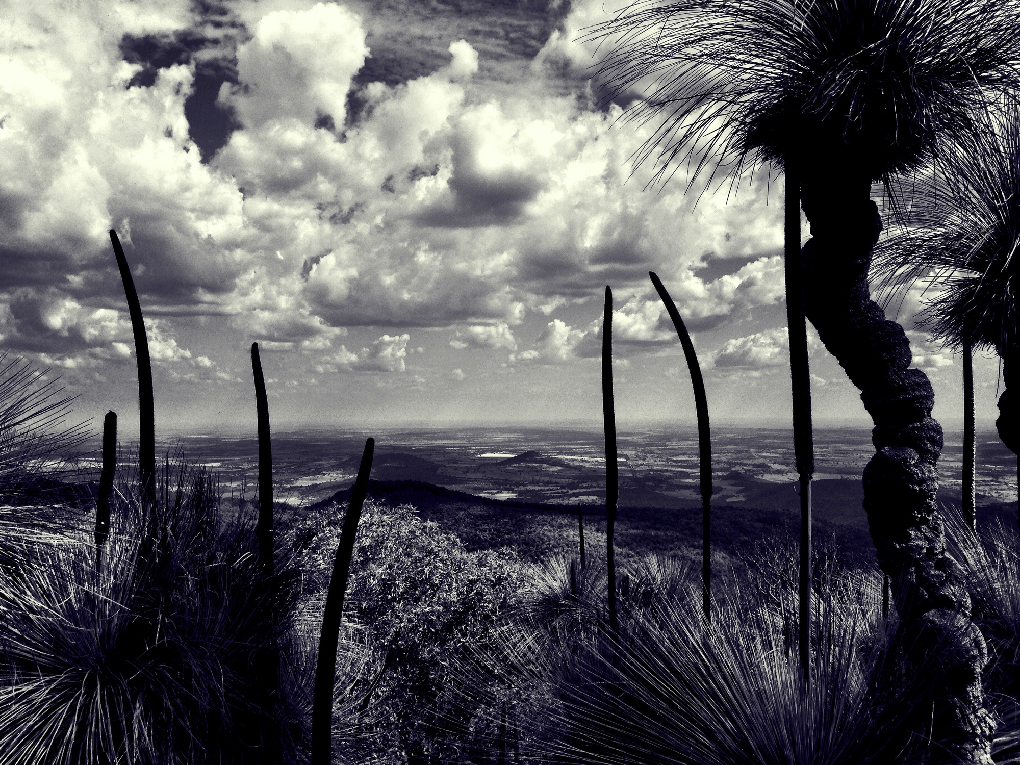 Monochrome photograph 7 of 43