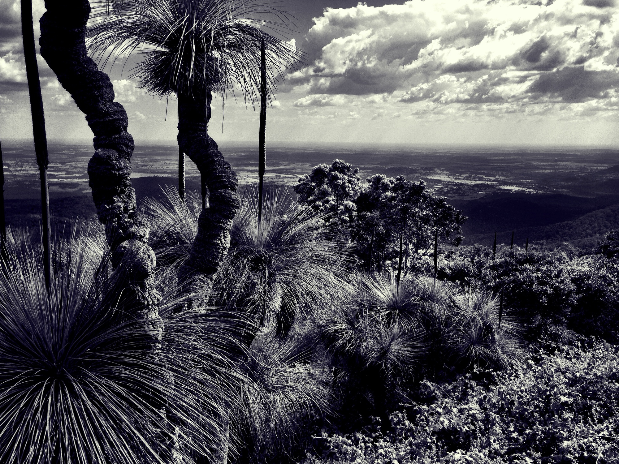 Monochrome photograph 8 of 43