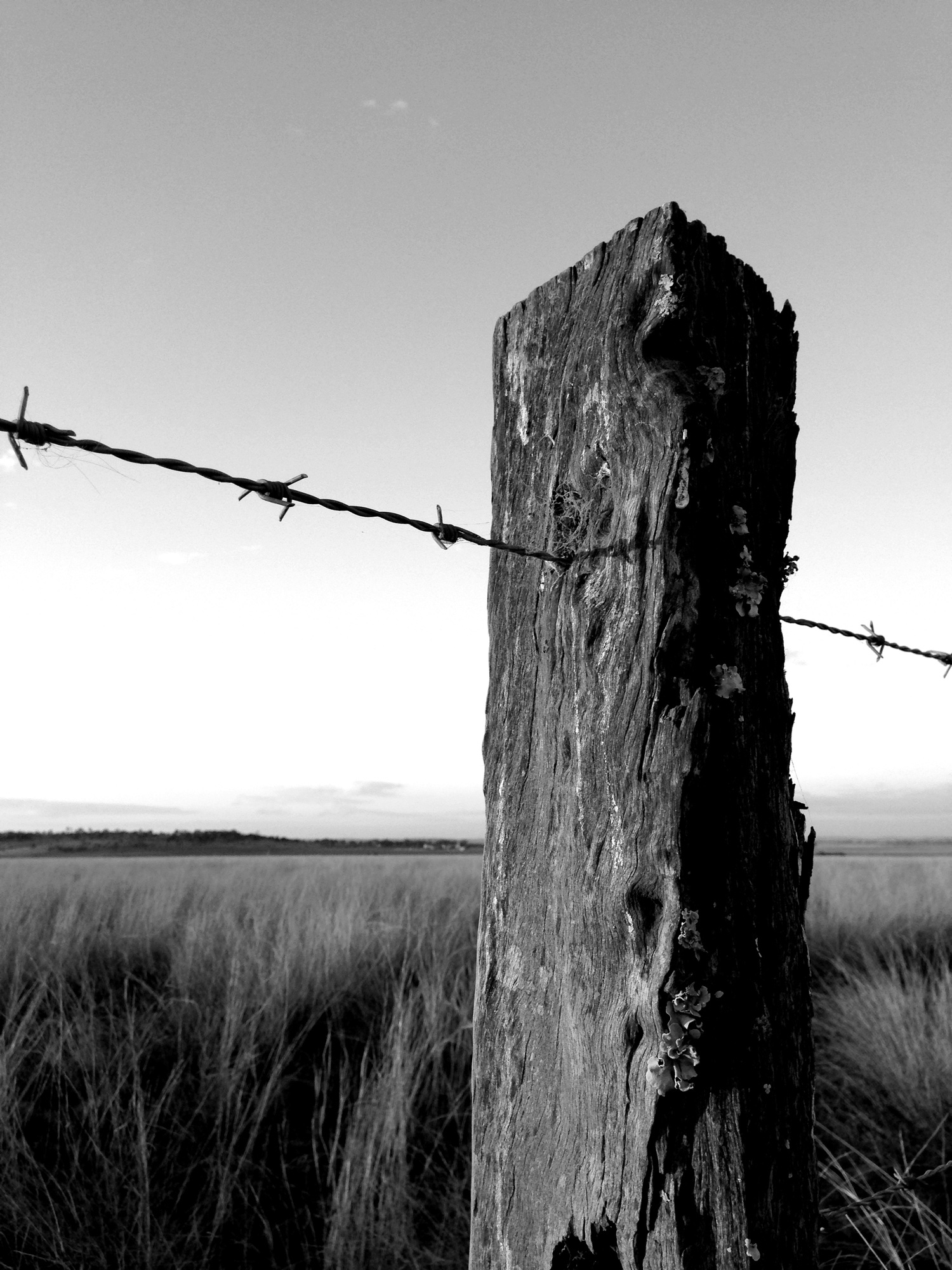 Monochrome photograph 25 of 43