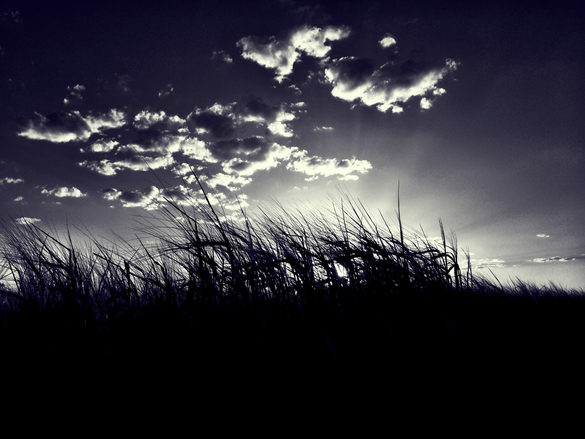 Monochrome photograph 6 of 43