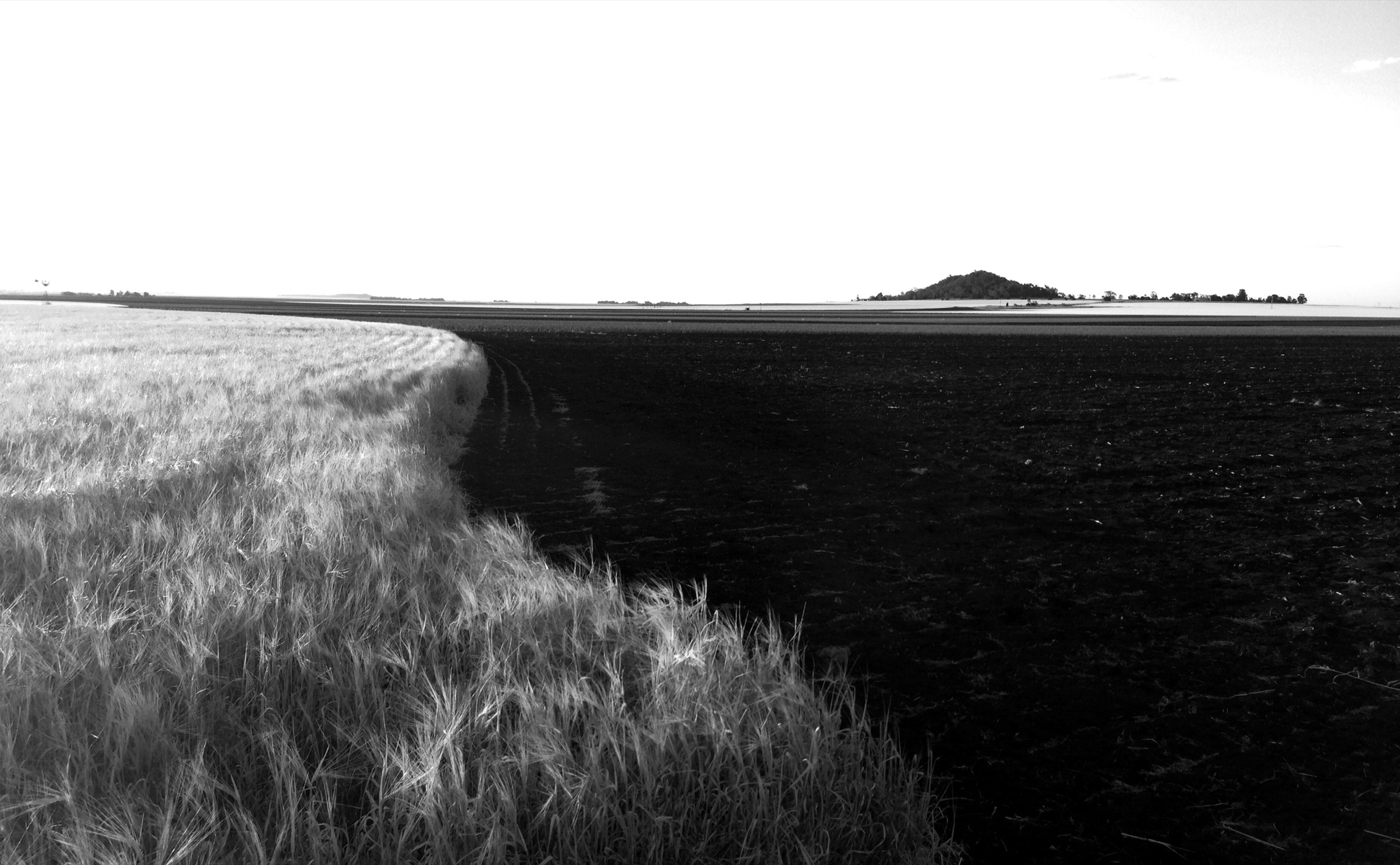 Monochrome photograph 28 of 43