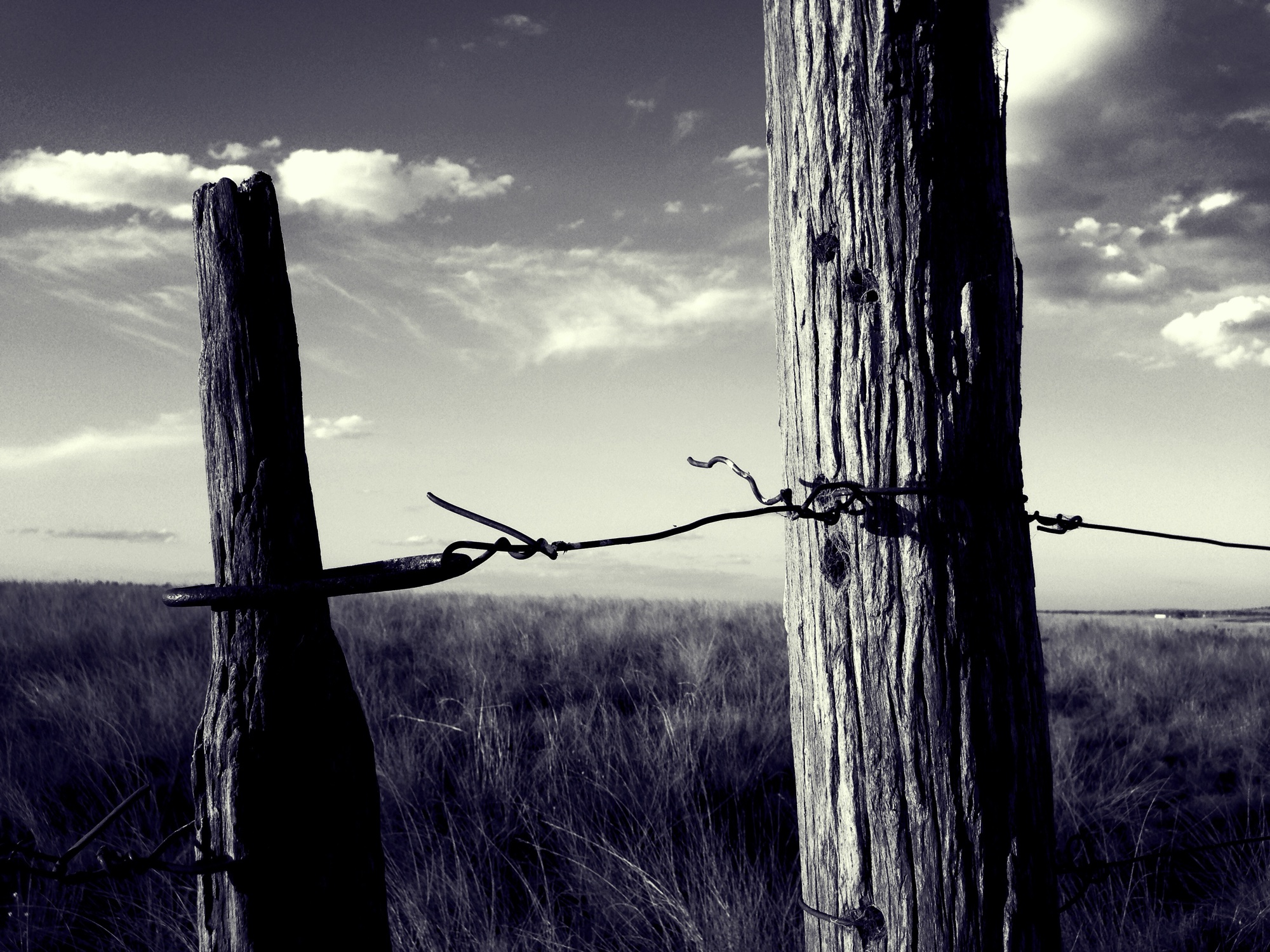 Monochrome photograph 10 of 43