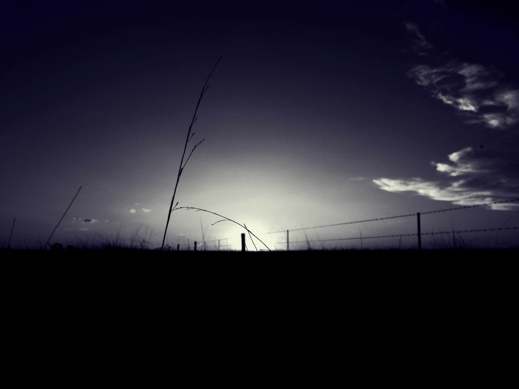 Monochrome photograph 29 of 43