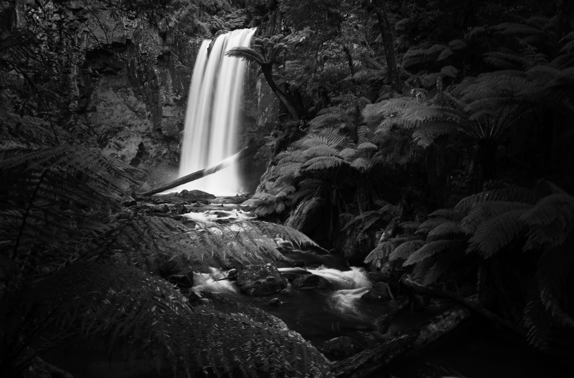 Monochrome photograph 37 of 43