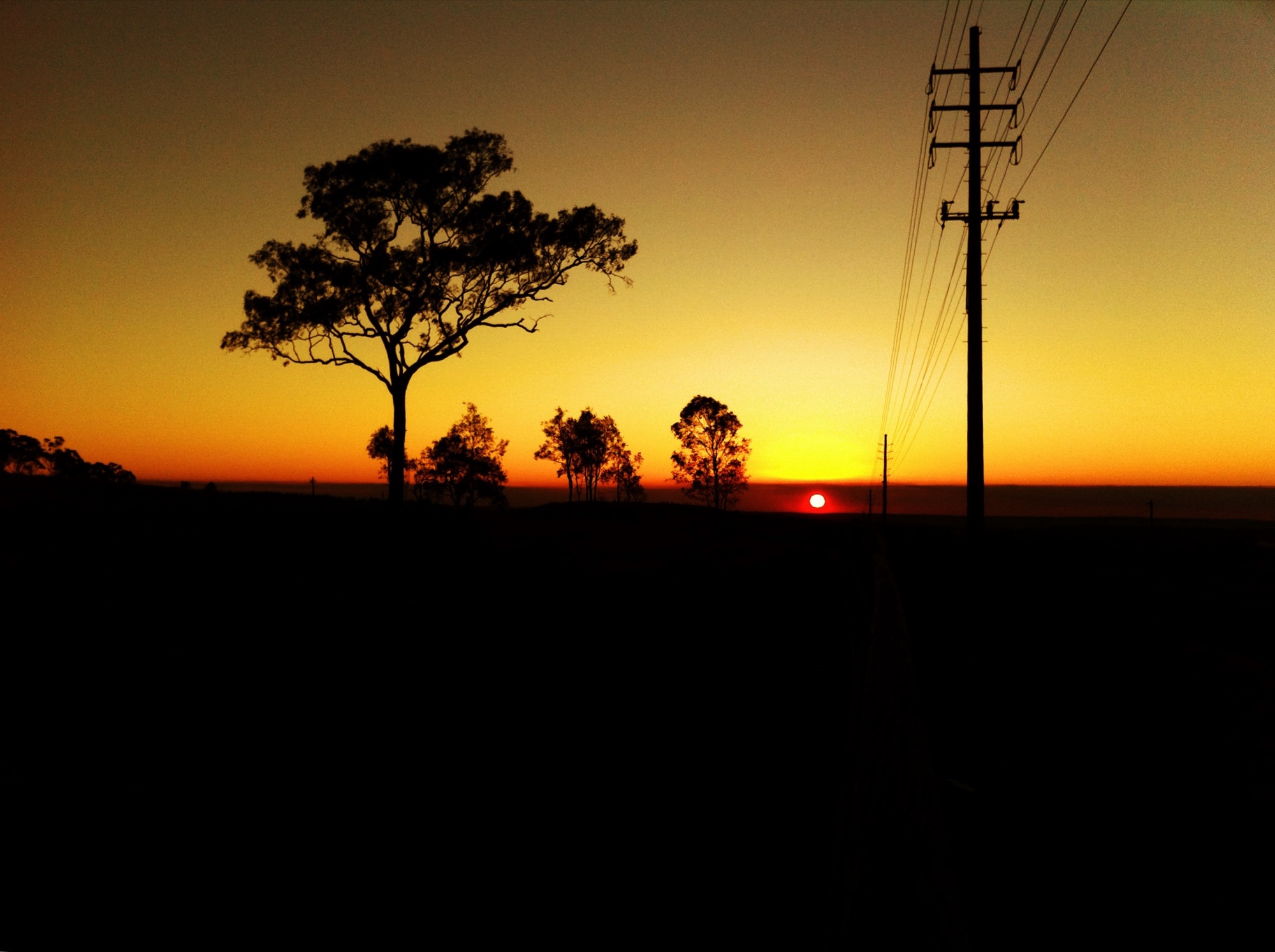 Sunset gallery cover