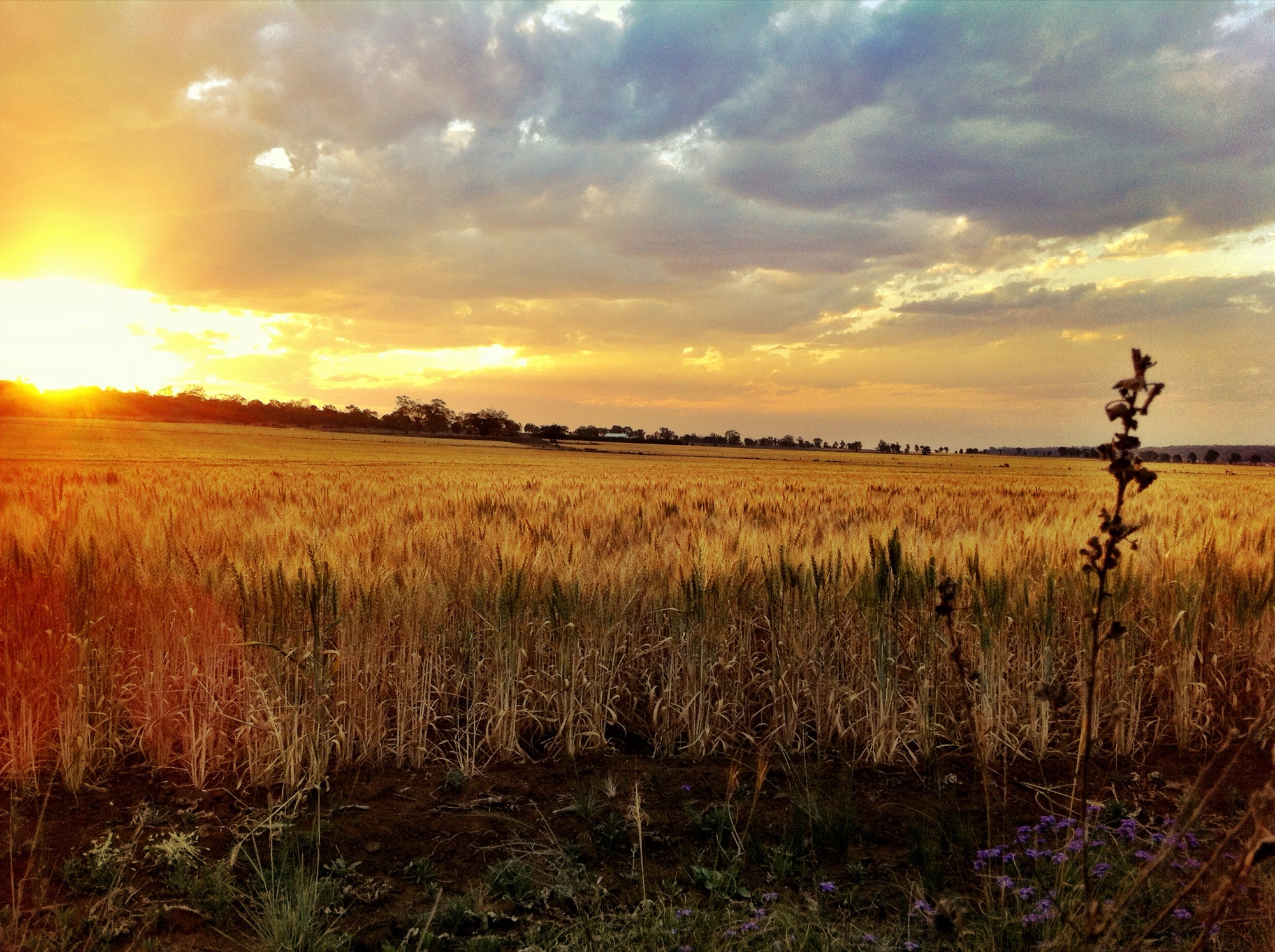 Sunset photograph 5 of 25