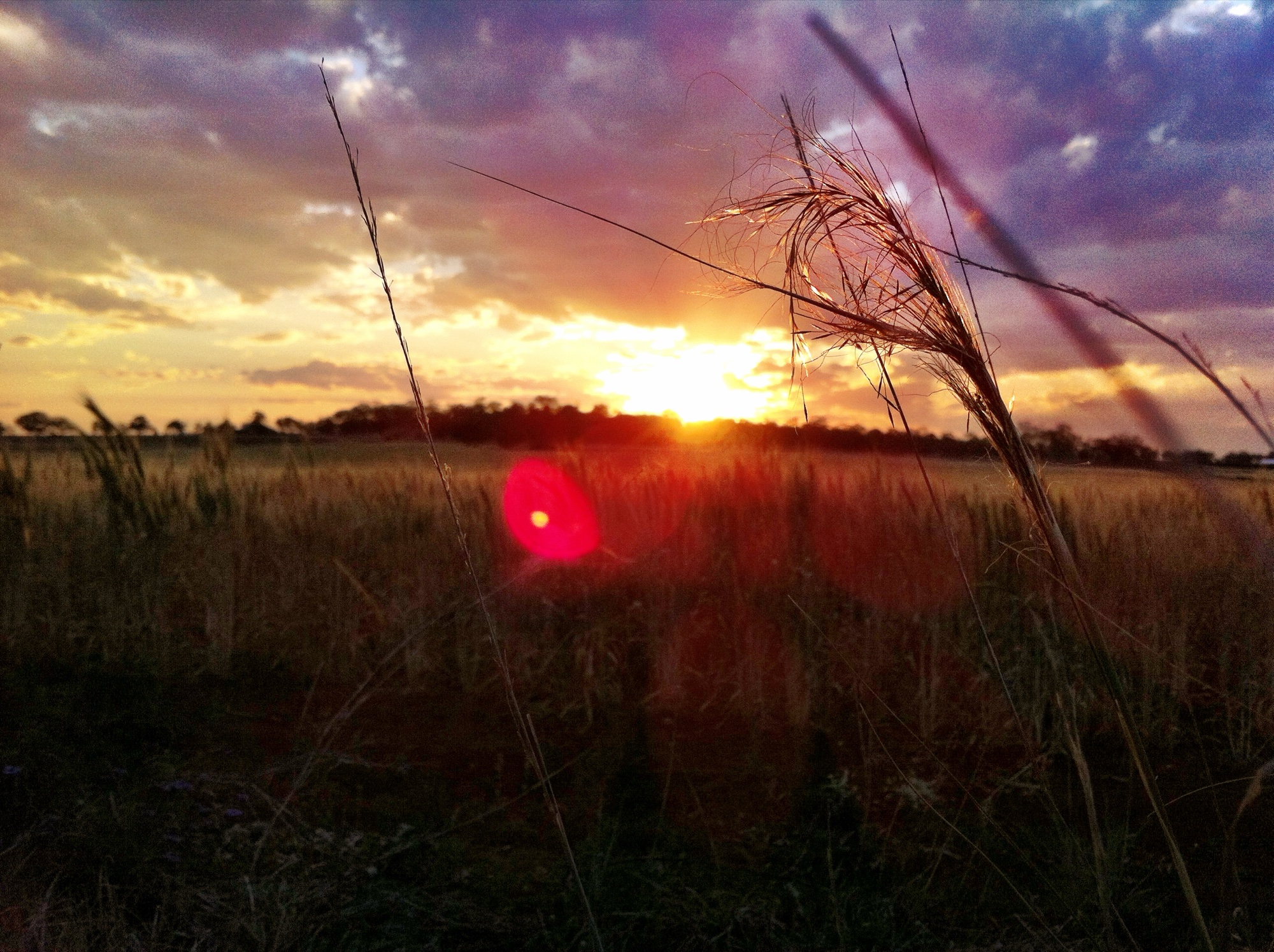 Sunset photograph 4 of 25