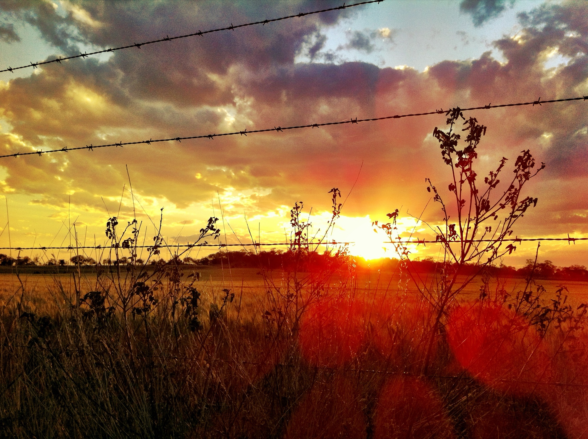 Sunset photograph 15 of 25