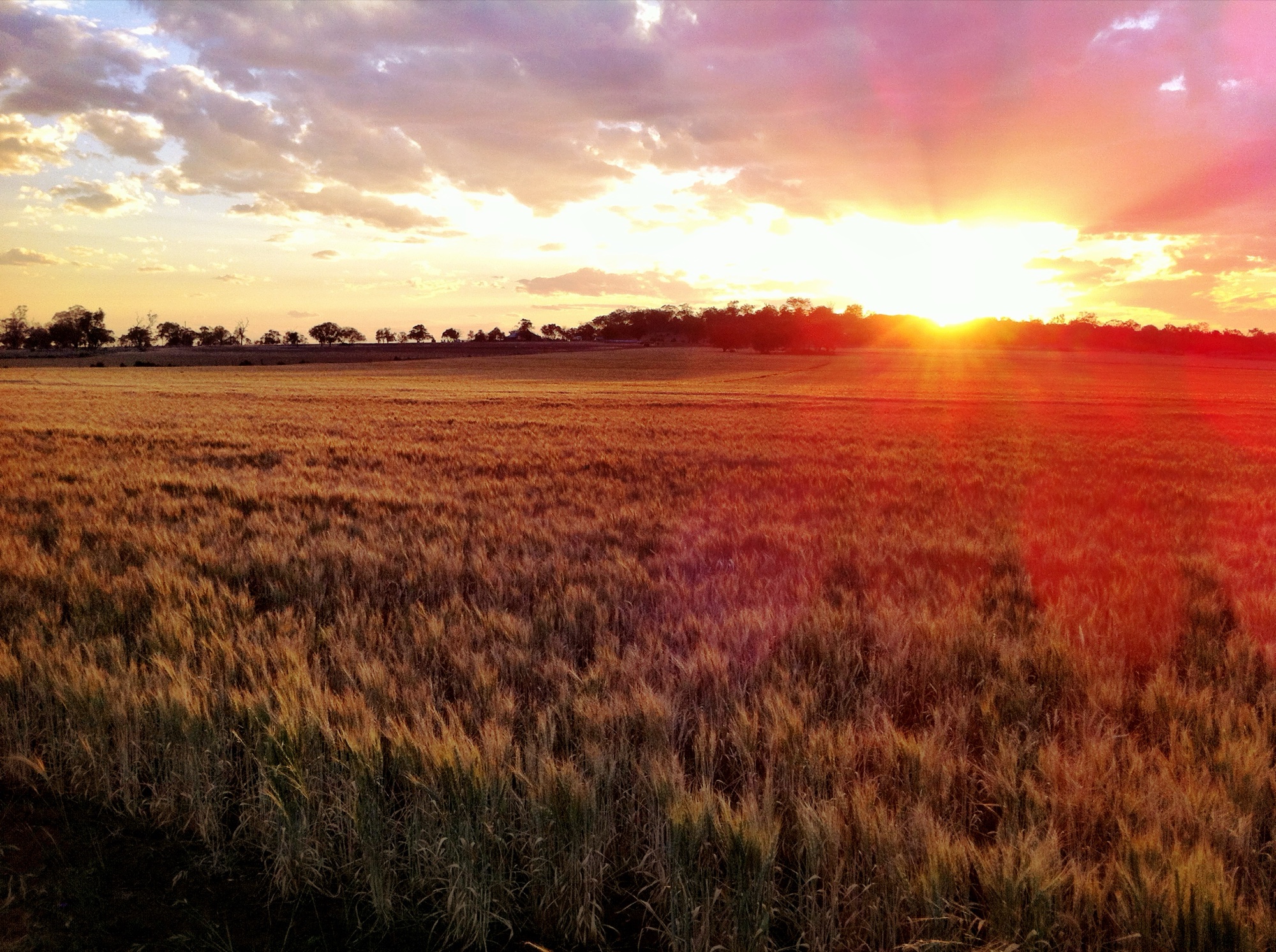 Sunset photograph 12 of 25