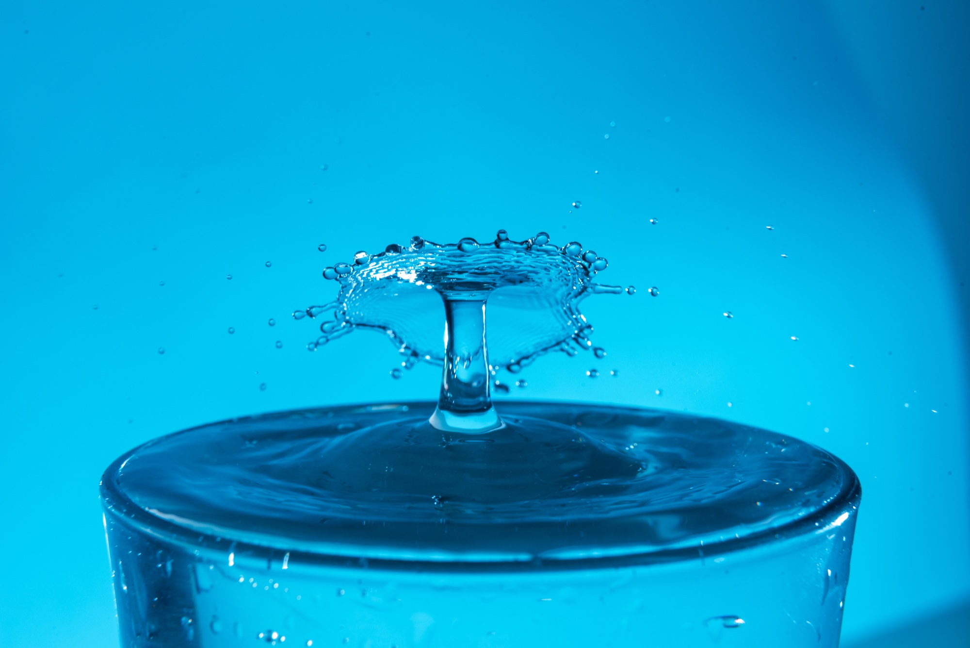 Water Droplets photograph 3 of 25