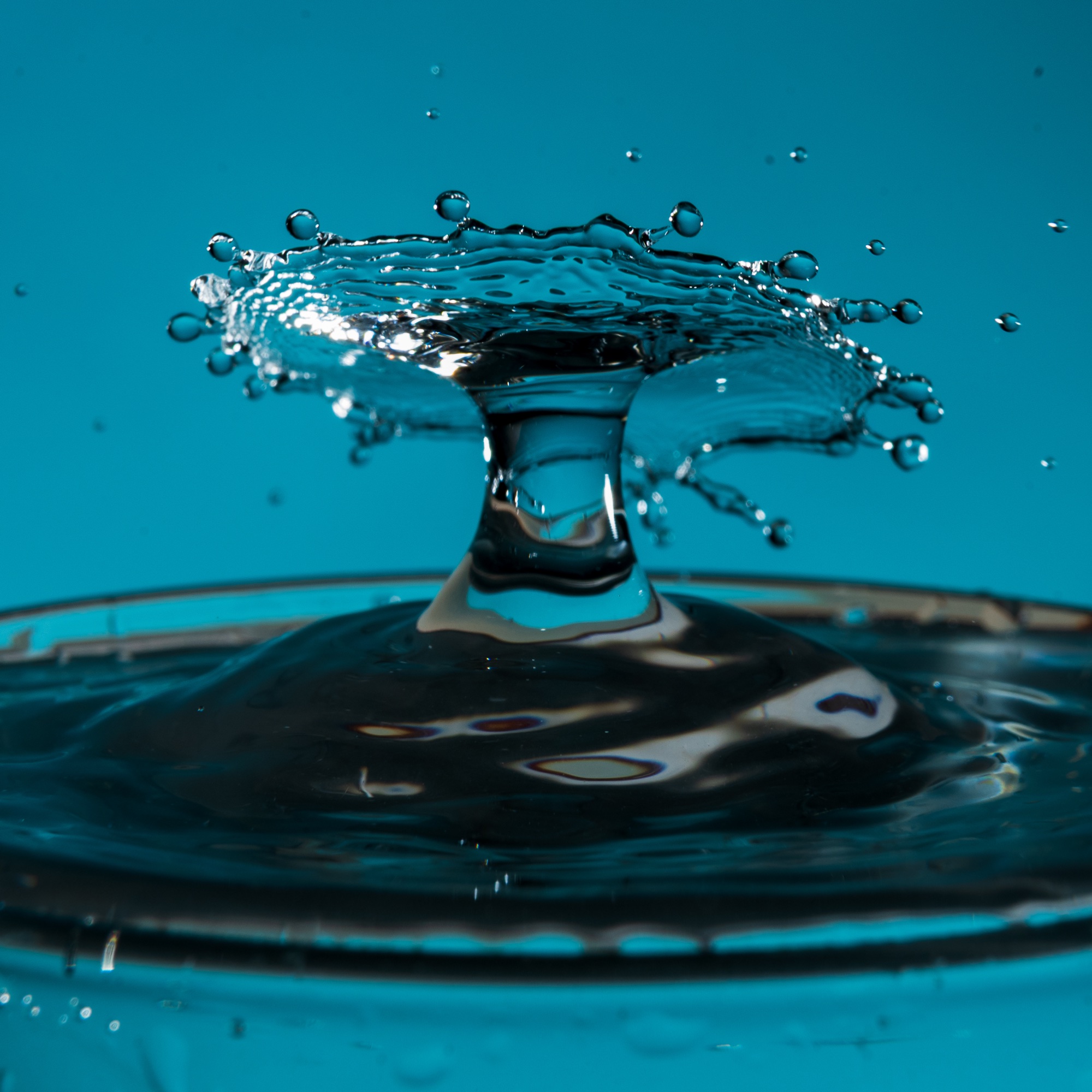 Water Droplets photograph 14 of 25