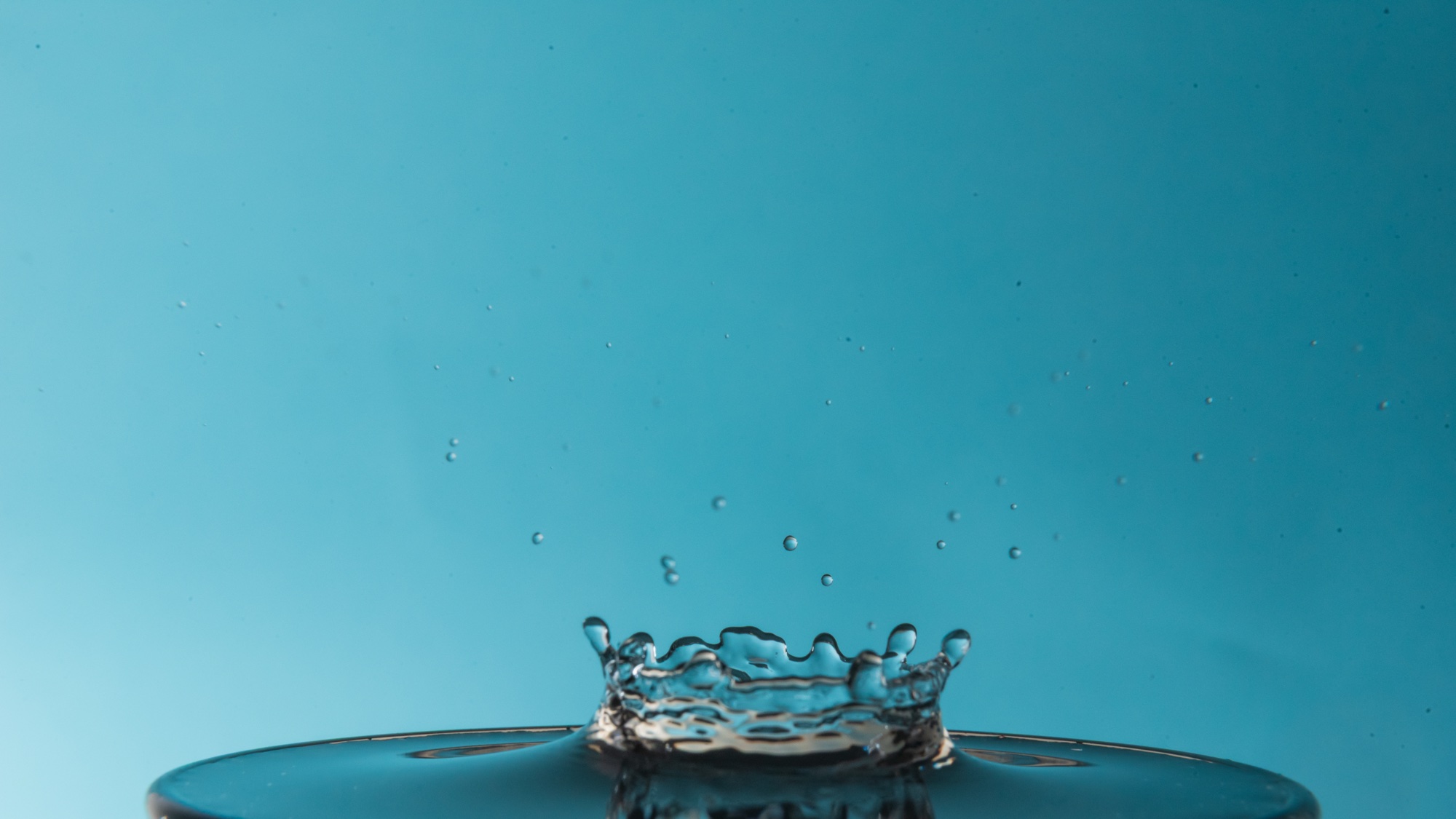 Water Droplets photograph 21 of 25